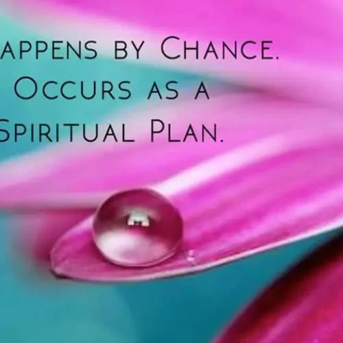 Video - Alles heeft een zin en toeval