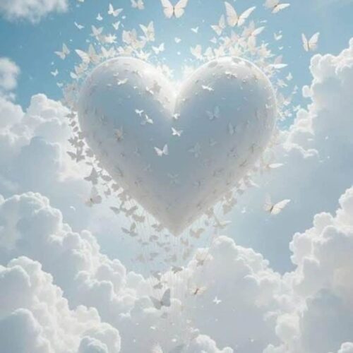 Video -  Leven na de dood