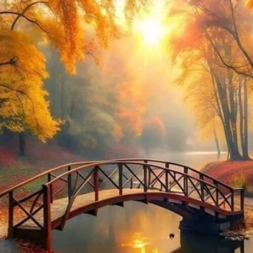 Video - De reis van de ziel en karma