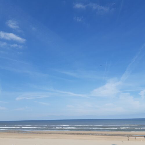 Meditatie Aarden en verbinden