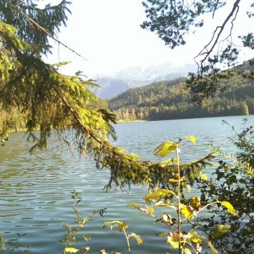 Meditatie - Loslaten en vertrouwen